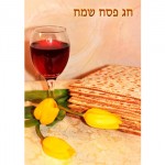 Sharing-Passover-to-Open-Tween-Minds-MainPhoto