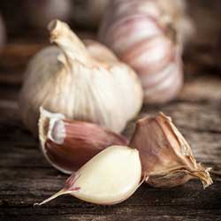 Bosquez-Garlic Day Recipe Roundup-Photo1