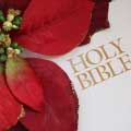 9 Bible Verses To Celebrate The True Meaning of Christmas-MainPhoto
