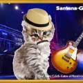 Carlos Santana-Gato Black Magic Kitty!-SliderPhoto