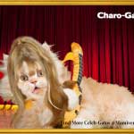 Charo-Gato Celebrates Herself!-SliderPhoto