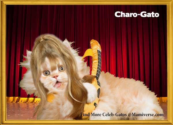 Charo-Gato Celebrates Herself!-SliderPhoto