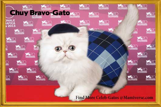 Chuy Bravo-Gato On His Own Terms!-MainPhoto