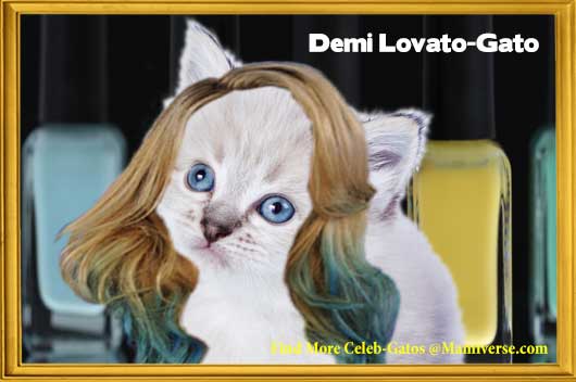 Demi Lovato-Gato Pop Queen Superstar!-MainPhoto
