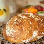 Fresh Baked Bread for the Holidays-MainPhoto