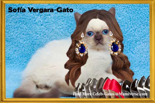 Sofía Vergara-Gato Delivers the Goods!-MainPhoto
