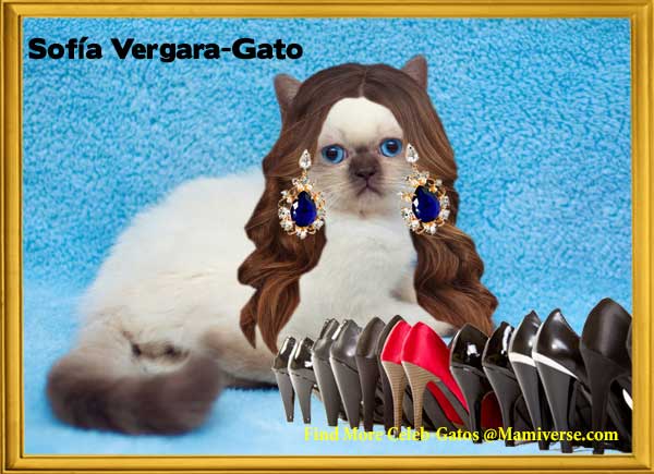 Sofía Vergara-Gato Delivers the Goods!-SliderPhoto