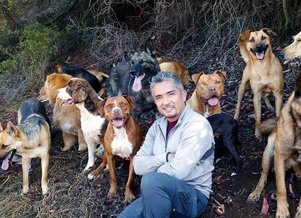7 Quotes by César Millán to Help You Raise Your Dog & Your Kids!-SliderPhoto