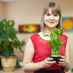 10 Creative Ways to Indoor Plant-MainPhoto