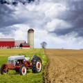 How the Farm Bill SNAP Cuts Will Affect Latinos-SliderPhoto