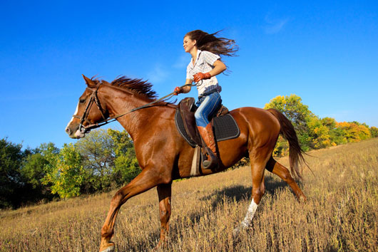 15-Reasons-Why-Women-Love-Horses-photo12