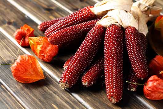 9 new ways to make corn on the cob-Photo8