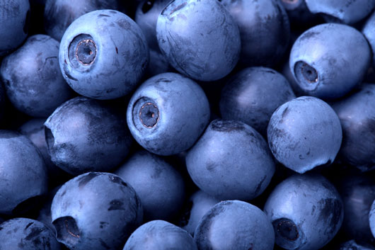 20-Facts-to-Know-About-Nature’s-Super-Fruit-Blueberries-photo4