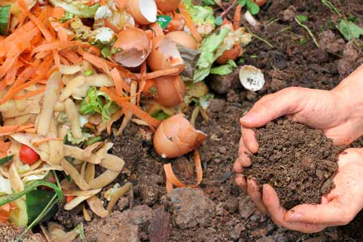 14-Reasons-why-Everyone-Should-Learn-to-Compost-MainPhoto