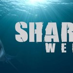 12-Reasons-Why-Shark-Week-is-Better-than-Sex-MainPhoto