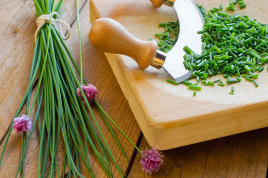 15-Herbs-That-Can-Help-You-Kick-the-Salt-Trap-photo5