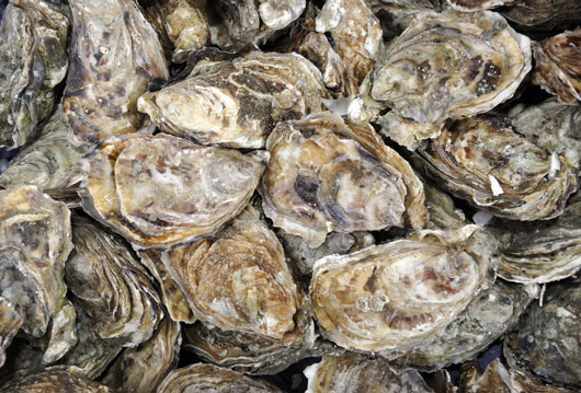 Oh-Shuck-You-15-Things-to-Know-About-Eating-OystersDKTR-photo11