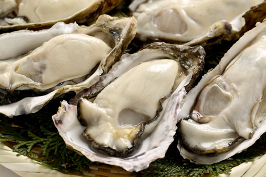 Oh-Shuck-You-15-Things-to-Know-About-Eating-OystersDKTR-photo3