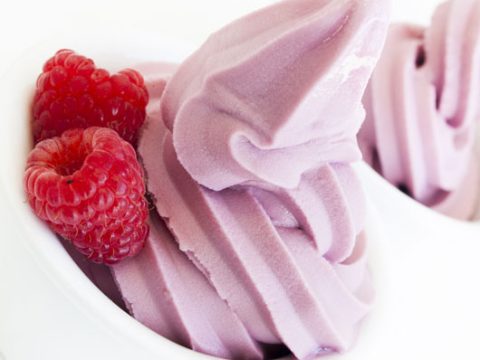 The-Fro-Yo-Low-Down-The-Pros-and-Cons-of-8-Frozen-Yogurt-Brands-we-all-photo3