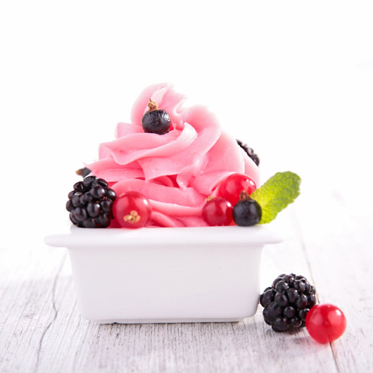 The-Fro-Yo-Low-Down-The-Pros-and-Cons-of-8-Frozen-Yogurt-Brands-we-all-photo5