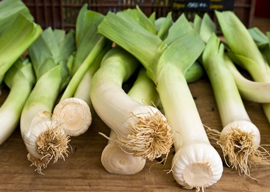 Leek-Love-15-Leek-Recipes-to-Try-Right-Now-MainPhoto