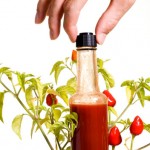 Hot-to-Trot-Our-15-Favorite-Hot-Sauces-of-the-Moment-MainPhoto