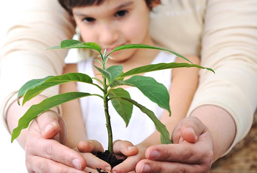 Family Flora Tips on Teaching Kids Gardening-MainPhoto