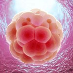 Fertility Treatments Update We Know All About Egg Freezing But Freezing Embryos?-MainPhoto