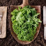 Aw,-Kale-No!-The-Truth-About-Excess-Kale-Nutrition-MainPhoto