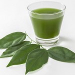 Beyond-Green-Juice-10-Reasons-You-Should-Drink-Liquid-Chlorophyll-MainPhoto