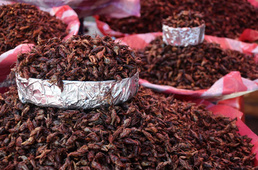 6-Reasons-Oaxacan-Food-is-Mexico’s-Culinary-Star-Photo1