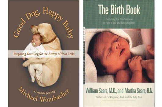 Large-and-in-Charge-5-Pregnancy-Books-for-the-Alpha-Mom-Photo3