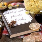 Roots-for-Life-The-Power-of-Medicinal-Herbs-&-Plants-MainPhoto