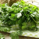 The-Fresh-Cilantro-Enigma-Why-do-Some-People-Hate-it-MainPhoto