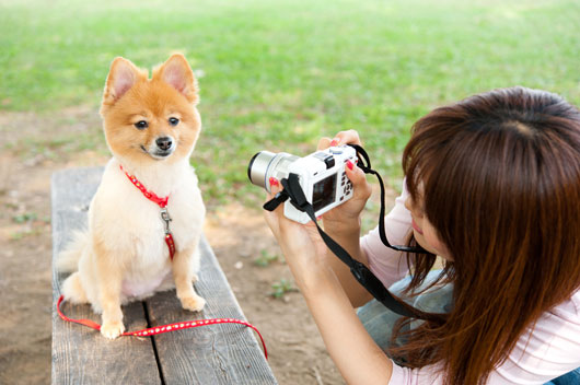 Pet-Photography-101-Take-Your-Pet's-Portrait-Like-a-Total-Boss-Photo2